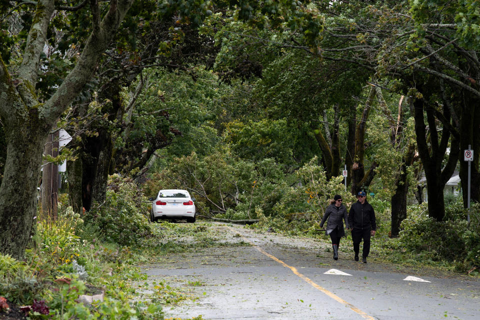 <p>Residents walk past trees and powerlines were downed on MacDonald Street following the passing of Hurricane Fiona, later downgraded to a post-tropical storm, in Halifax on Sept. 24, 2022. (REUTERS/Ingrid Bulmer)</p> 