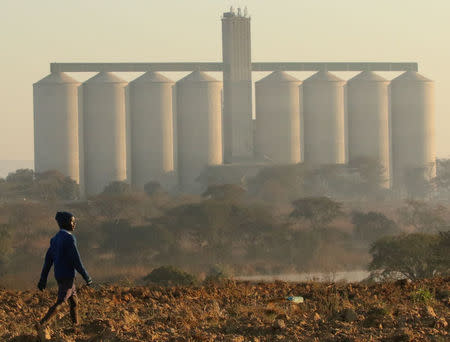 A boy walks on a prepared field in front of grain silos in the farming area of Chinhoyi, Zimbabwe, July 26, 2017. REUTERS/Philimon Bulawayo