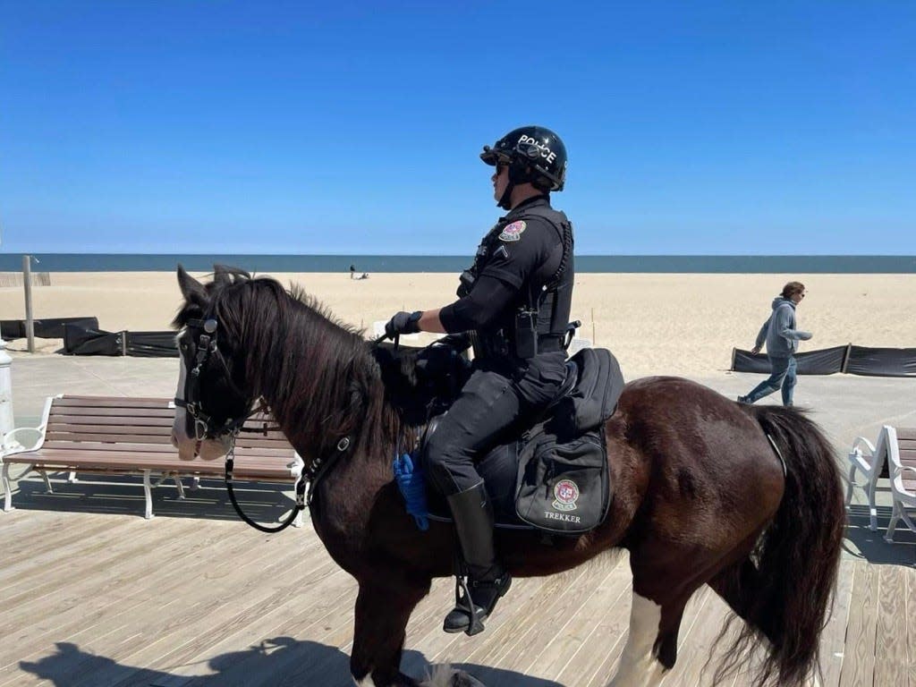 Together, PFC Rodden and Buckshot explore the town of Ocean City and the beach in April, 2024.