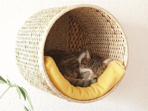 cat resting in suspended whicker basket