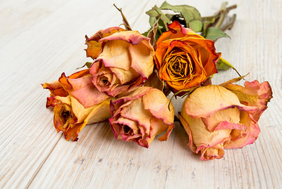 dried roses on wooden surface