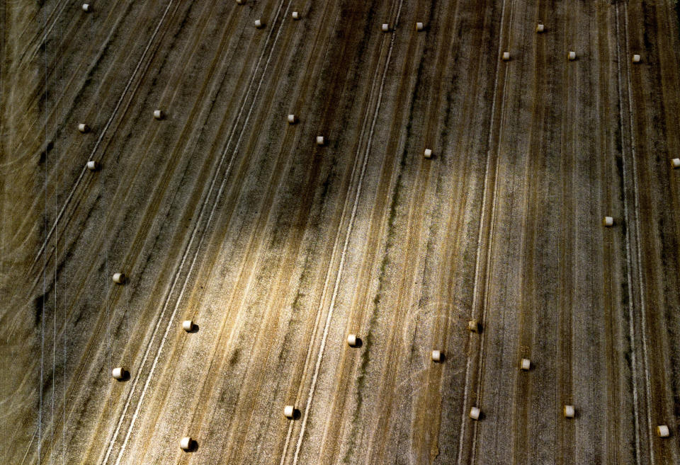 Straw bales dot a field on the outskirts of Frankfurt, Germany, July 28, 2024. (AP Photo/Michael Probst, File)