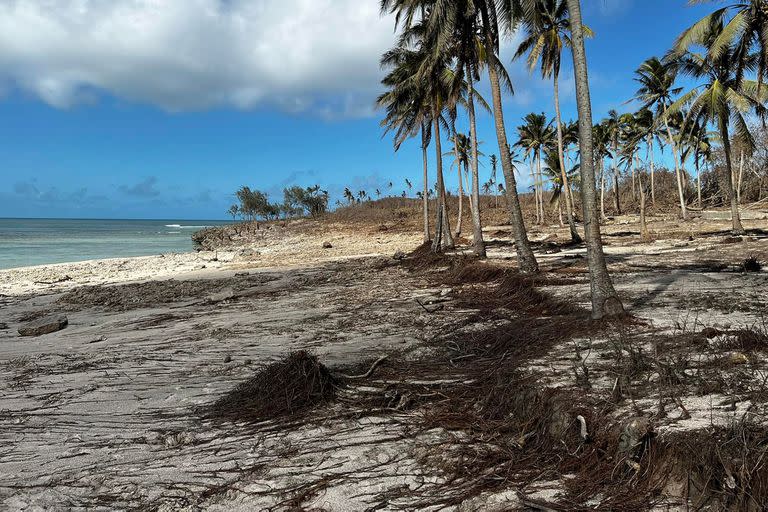 Daños provocados por el tsunami en la isla de Tongatapu, Tonga