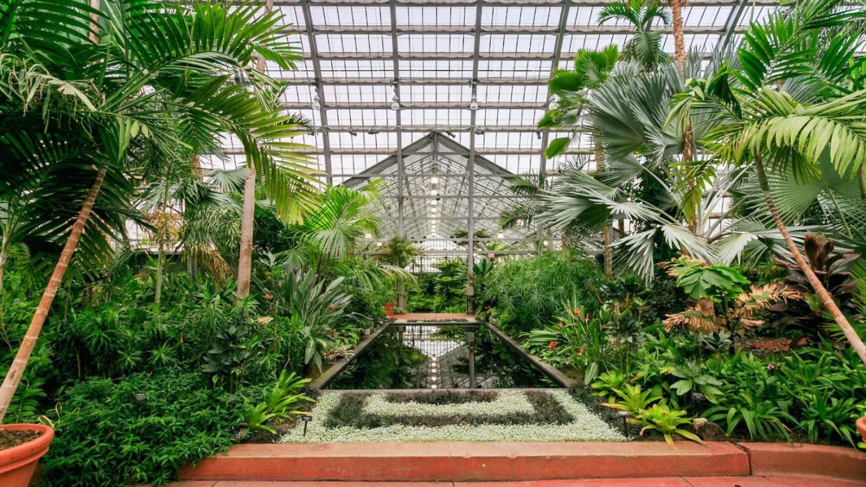 garfield park conservatory