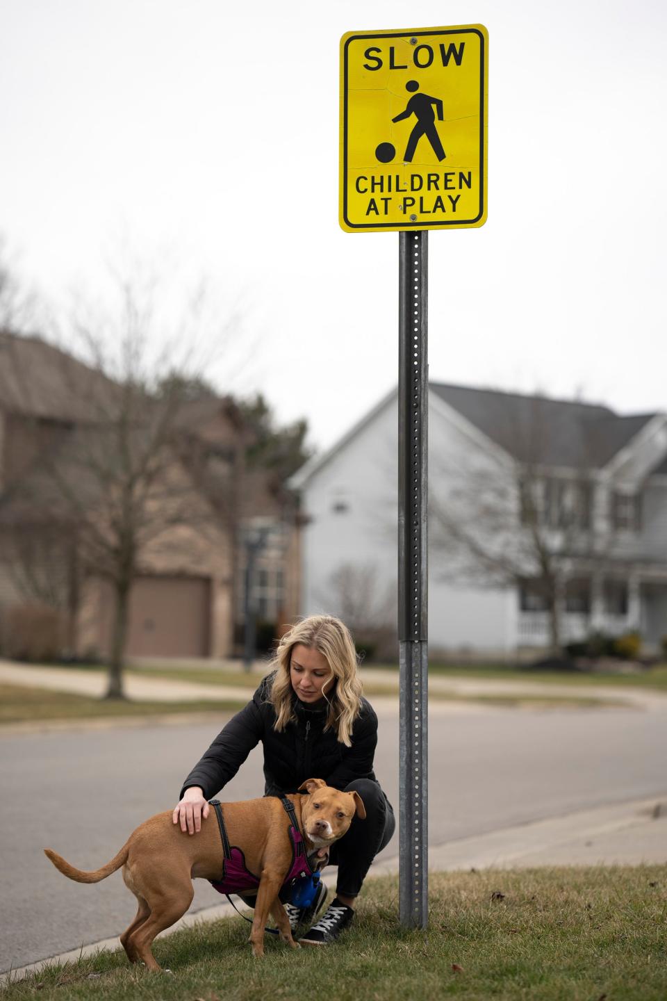 Lindsay Guard pets her 7-year-old pit bull mix, Gracie, after posing for a portrait near the intersection of Spring Run Drive and Dunaway Lane in Genoa Township. Guard is concerned the township is being forced to remove stop signs from neighborhood intersections.