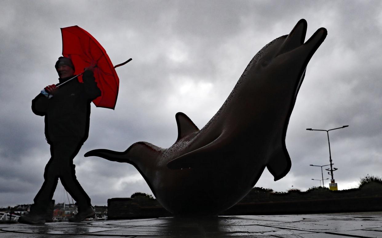 A sculpture of Fungie in Dingle, Co Kerry, where the dolphin has gone missing - Niall Carson /PA