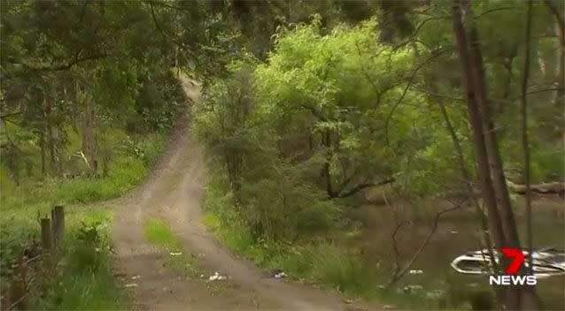 The Nissan Patrol veered off the steep dirt driveway and ended up in a dam. Picture: 7 News