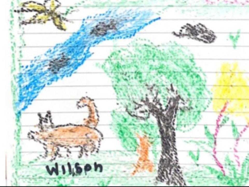Earlier this week, the Colombian Army shared a drawing of the now-missing four-legged hero made by the children from their hospital beds (Colombian Army)