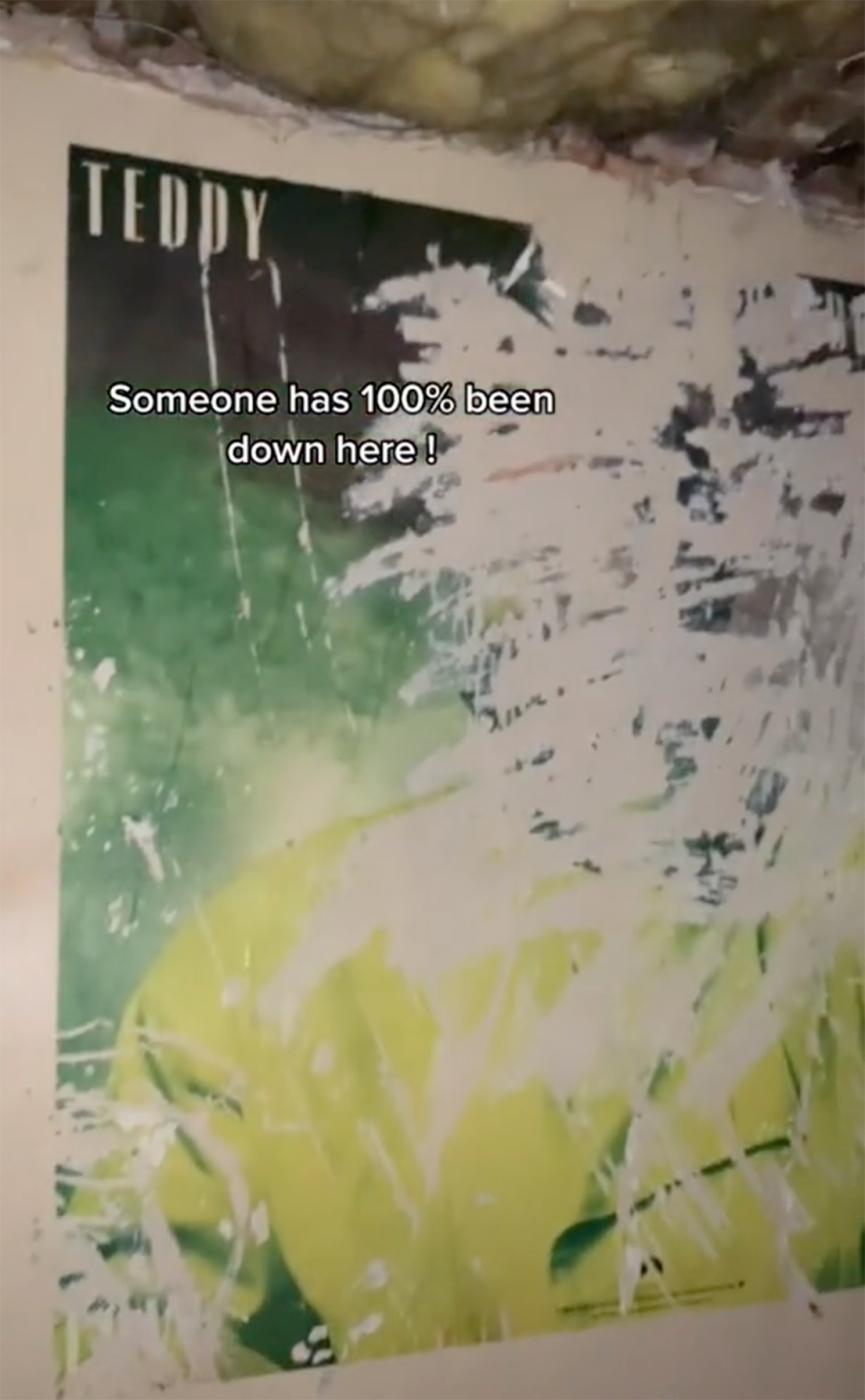 Screenshot from TikTok shows old poster with Teddy written on it.