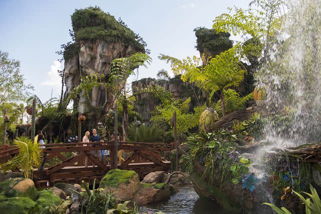 Steven Diaz/Disney Resorts via Getty Pandora - World of Avatar at Walt Disney World in Florida.