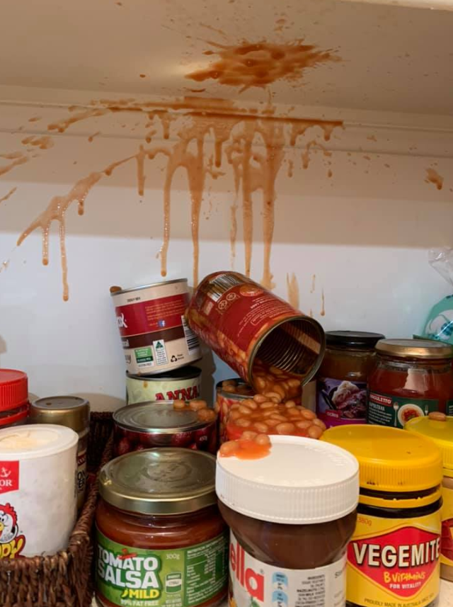 An image of the Coles baked beans splattered across the mum's cupboard. Source: Facebook