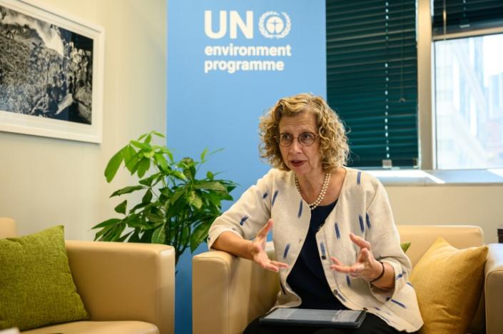 Inger Andersen, Under-Secretary-General of the United Nations and Executive Director of the UN Environment Programme, speaks during an interview at UN headquarters in New York City on September 21, 2023 (Ed JONES)