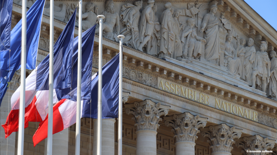 動物保護組織巴黎動物園協會（PAZ）聯合創始人桑維森斯表示：「儘管巴黎市議會迅速通過了這項申請，但有一些議員反對建立動物紀念碑，他們認為紀念碑應該是為人類設立的。」   圖 : 翻攝自法國國會網站