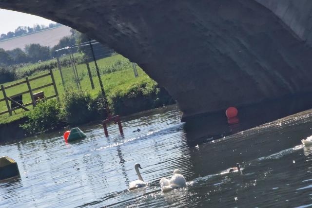 Work finally starts rebuilding historic bridge as divers attend scene