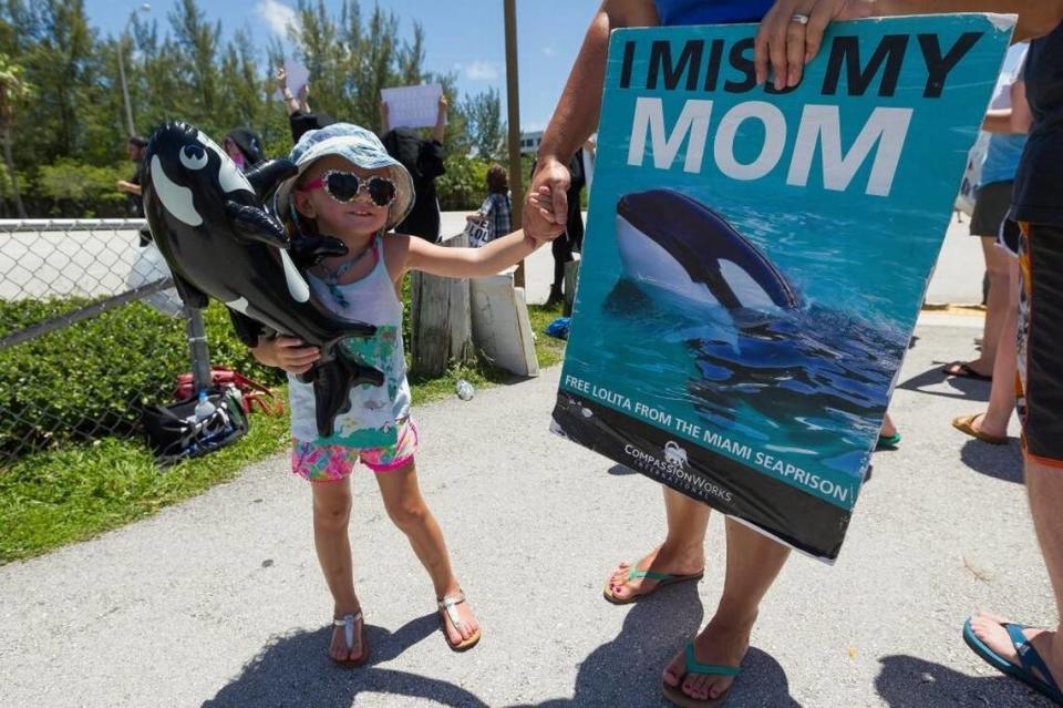 Cora Potter, de tres años, asiste a una protesta con su madre, Jennifer Potter, frente al Miami Seaquarium, el martes. Los Potter vinieron desde Maryland para unirse a un pequeño grupo que presiona para liberar a la orca llamada Lolita.