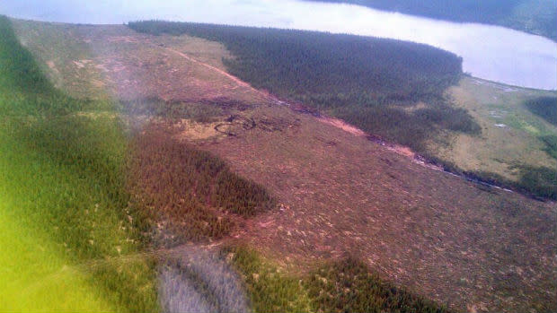 An aerial shot taken Saturday of the fire break between the fire and the town of Wabush.