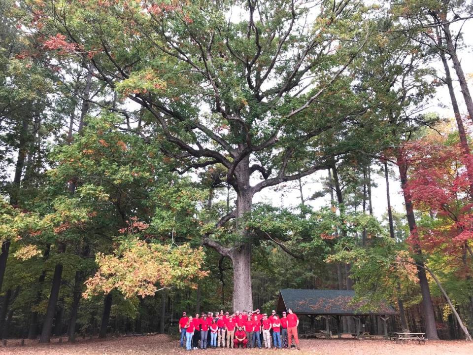Reader Steph Jeffries’ favorite tree in the Triangle is in Schneck Forest in Raleigh.