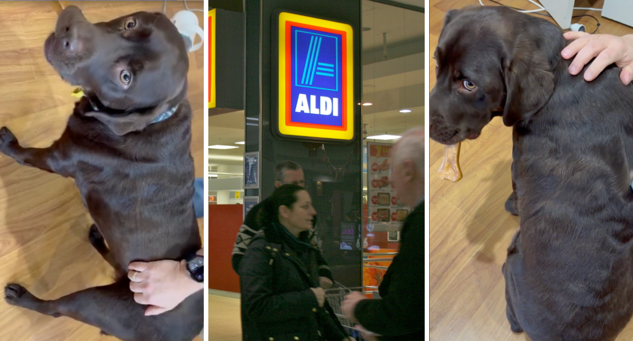 Aldi shoppers are singing the praises of this $129 pet item. Credit: Facebook/Getty