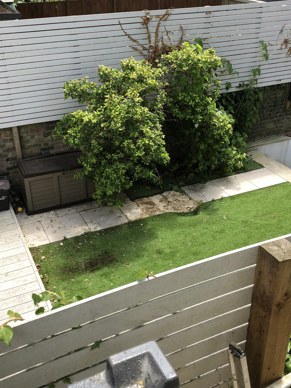 The force of the body falling from the plane dented paving slabs and astro turf in the garden in Clapham, South London (Picture: SWNS)