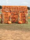 <p><a href="http://flowermoundpumpkinpatch.com/" rel="nofollow noopener" target="_blank" data-ylk="slk:The Flower Mound's Pumpkin Patch;elm:context_link;itc:0;sec:content-canvas" class="link ">The Flower Mound's Pumpkin Patch</a> is all about making memories with your family. Hay rides, bounce houses, hay bale mazes, and dozens of cartoon cutouts on the <a href="https://go.redirectingat.com?id=74968X1596630&url=https%3A%2F%2Fwww.tripadvisor.com%2FTourism-g55844-Flower_Mound_Texas-Vacations.html&sref=https%3A%2F%2Fwww.countryliving.com%2Flife%2Ftravel%2Fg21273436%2Fpumpkin-farms-near-me%2F" rel="nofollow noopener" target="_blank" data-ylk="slk:Flower Mound, Texas;elm:context_link;itc:0;sec:content-canvas" class="link ">Flower Mound, Texas</a>, property mean there are plenty of cute spots for snapping festive family photos. And don't forget to visit their adorable "Pumpkin House," which is a perfect backdrop for even more family snapshots.</p><p><a class="link " href="https://go.redirectingat.com?id=74968X1596630&url=https%3A%2F%2Fwww.tripadvisor.com%2FAttractions-g55844-Activities-Flower_Mound_Texas.html&sref=https%3A%2F%2Fwww.countryliving.com%2Flife%2Ftravel%2Fg21273436%2Fpumpkin-farms-near-me%2F" rel="nofollow noopener" target="_blank" data-ylk="slk:PLAN YOUR TRIP;elm:context_link;itc:0;sec:content-canvas">PLAN YOUR TRIP</a><br></p>