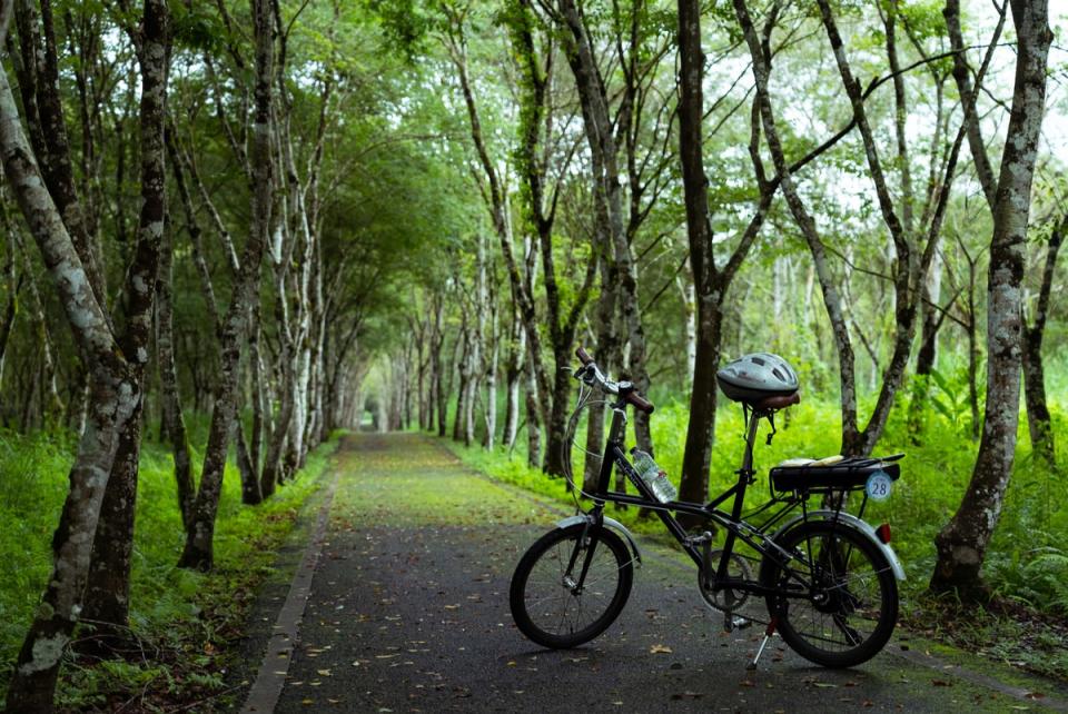 ▲位於森林溫泉線的大農大富平地森林園區，讓人能夠愜意騎車享受森林浴。 