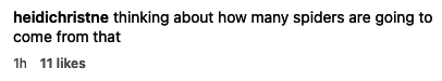 "thinking about how many spiders are going to come from that"