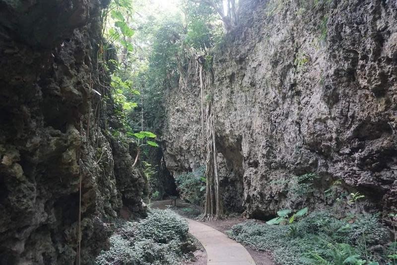 屏東林管處所轄墾丁四等園區、自然教育中心、檜谷山屋及所轄自然步道暫停開放。（翻攝畫面）