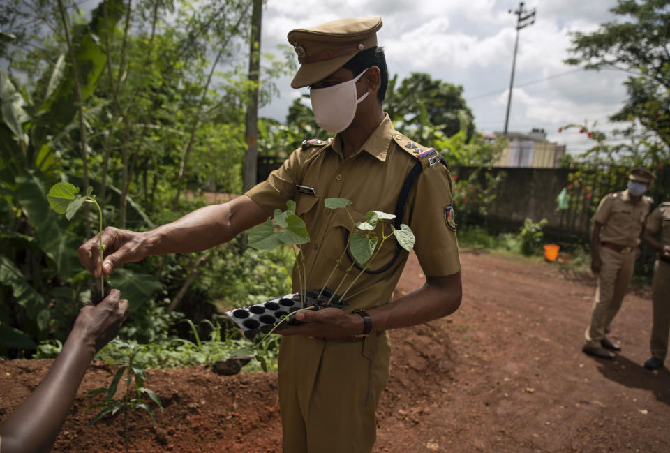 A policeman wearing mask to protect from the coronavirus hands out saplings to plant on World Environment Day in Kochi, Kerala state, India, Friday, June 5, 2020. (AP Photo/R S Iyer)