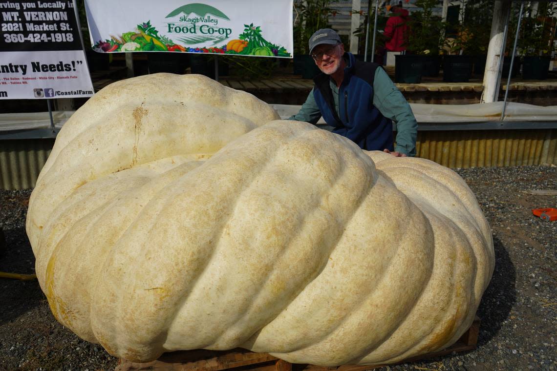 Lee Roof crouches next to his 1,472-pound pumpkin at the Skagit Valley Giant Pumpkin Festival on Saturday, Sept. 17, in Mount Vernon. His pumpkin was the second heaviest of those weighed.