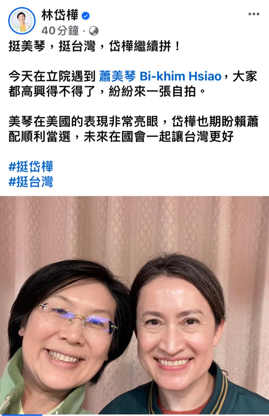 立委林岱樺與過去曾是戰友的副總統參選人蕭美琴自拍，支持者紛紛留言力挺。（翻攝林岱樺臉書）