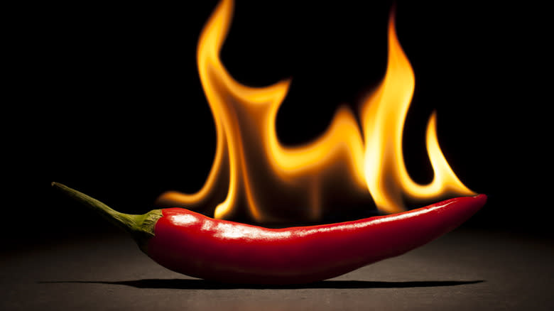 Hot chile on fire