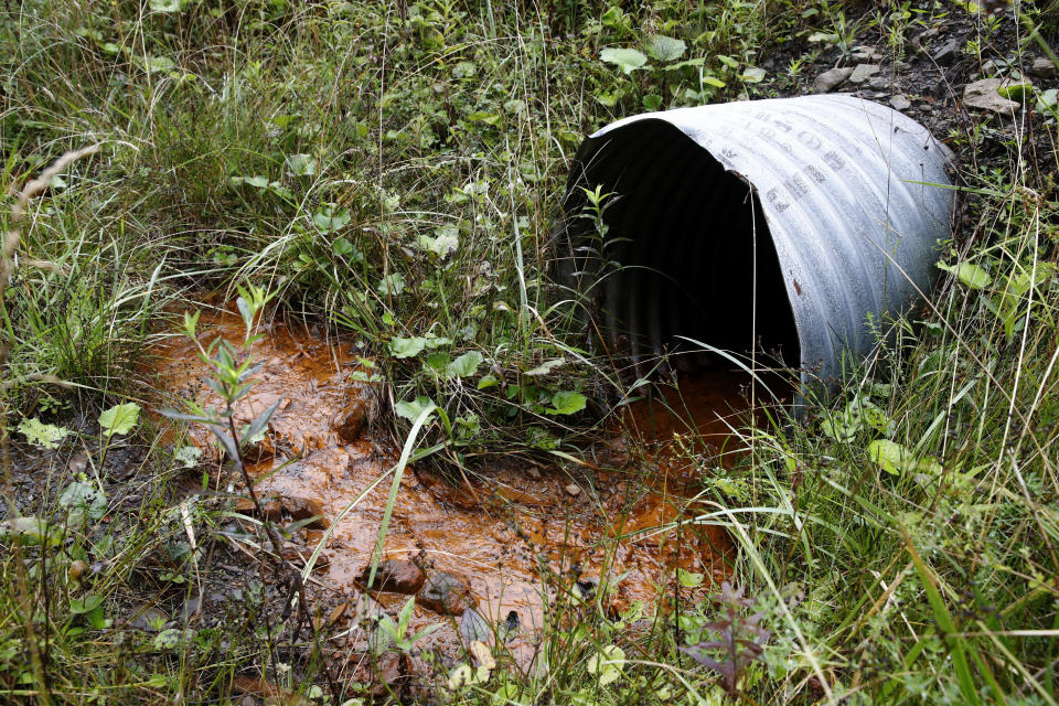 Water discolored as a result of past mining runs down a creek in Monongahela National Forest, W.Va., on Aug. 27, 2019. The Appalachian highlands once supported a large and unique ecosystem, dominated by 500,000 acres of red spruce forest a century and a half ago. But commercial logging in the late 1800s and later coal mining in the 20th century stripped the landscape, leaving less than a tenth of the red spruce forests intact. (AP Photo/Patrick Semansky)