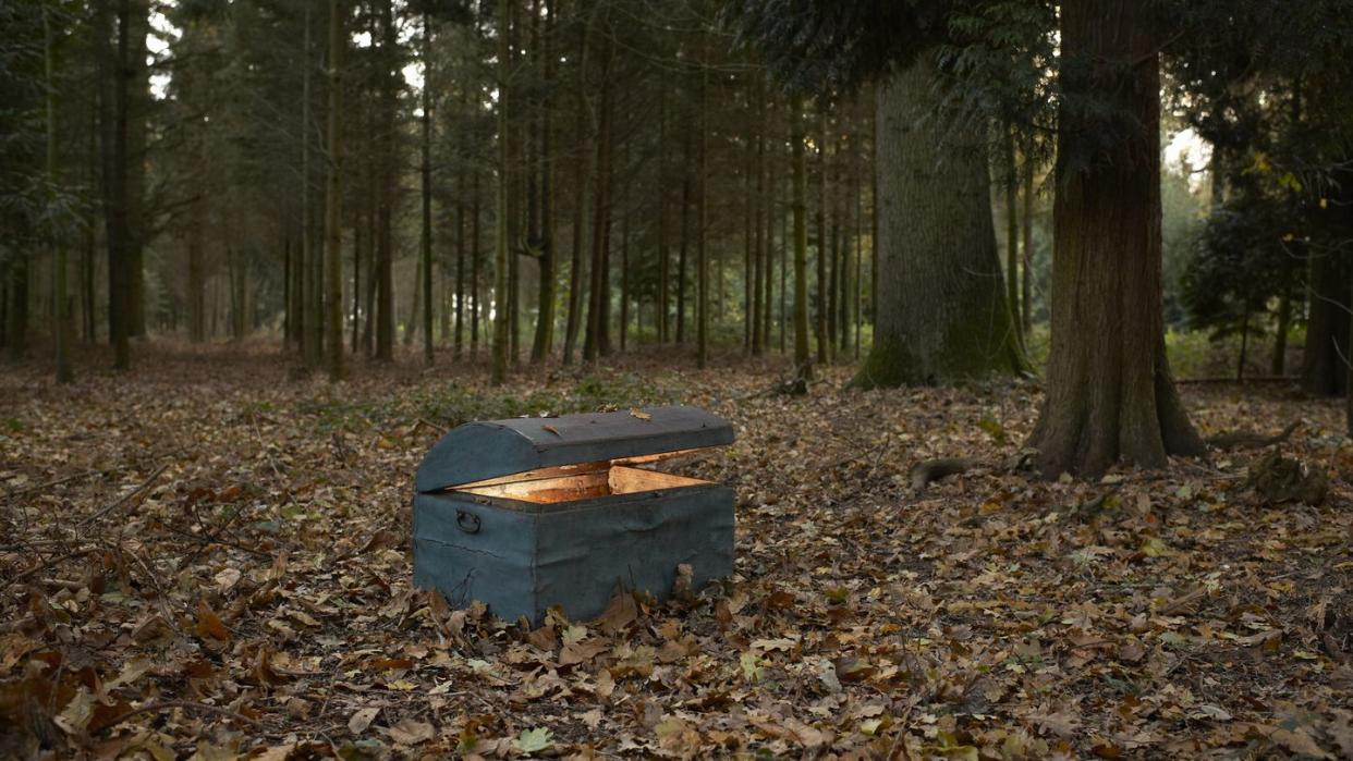 trunk in woodland with glow inside