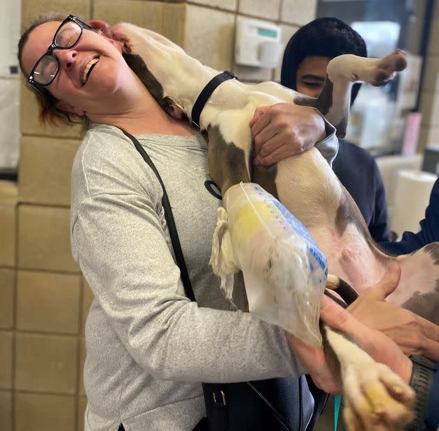 VanBuren and his new humans. (Photo: Jackson County Animal Shelter)