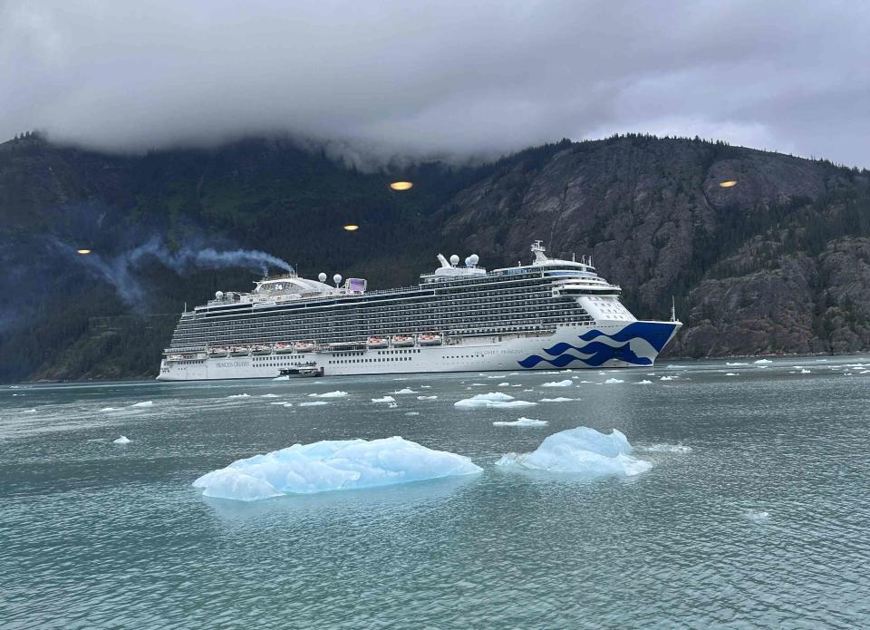 <p>Princess Cruise Lines</p>