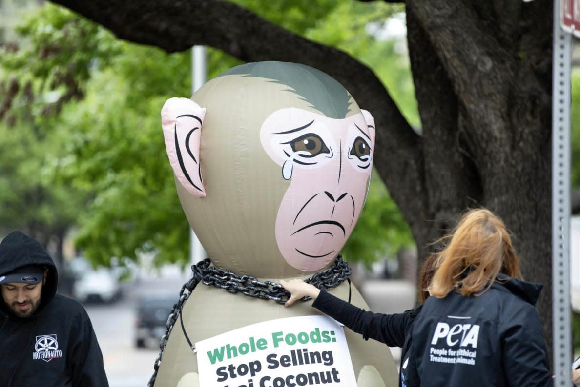 Activists at a protest against Whole Foods' coconut milk brought an inflatable monkey in chains and handed out pamphlets to passersby.
