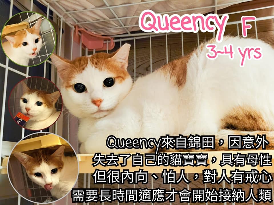 Queency，3，女仔