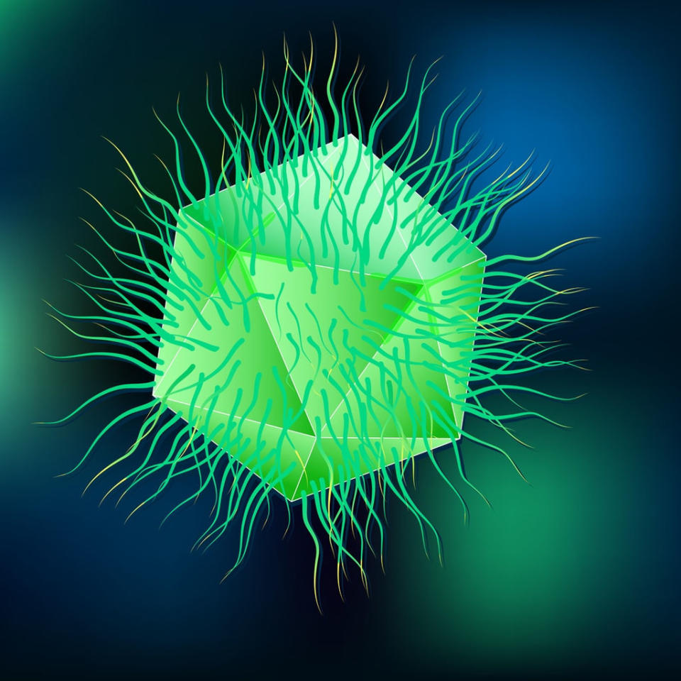 This is another Mimivirus, not the Klosneuvirus. <cite>Designua/Shutterstock</cite>