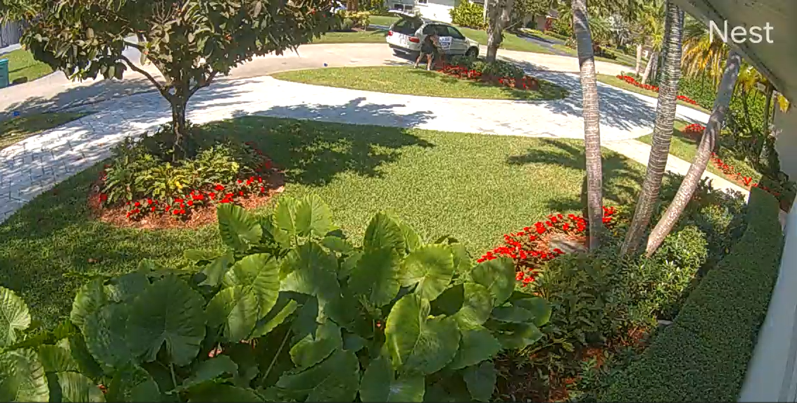 A screen grab of Nest camera footage that recorded a woman taking a “vote no” sign from a Pinecrest resident’s yard.