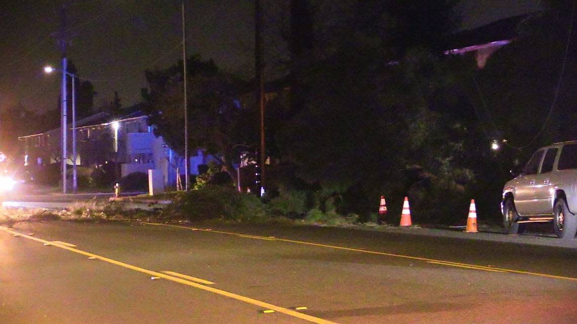 A tree fell on a woman who was pushing a stroller Tuesday night in Clovis. The woman, who was walking with one child and pushing another kid in a stroller, suffered a broken arm. Anthony Galaviz/The Fresno Bee
