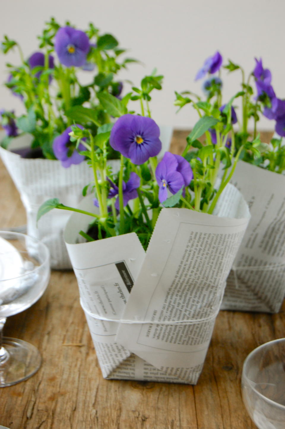 Wrapped Violas