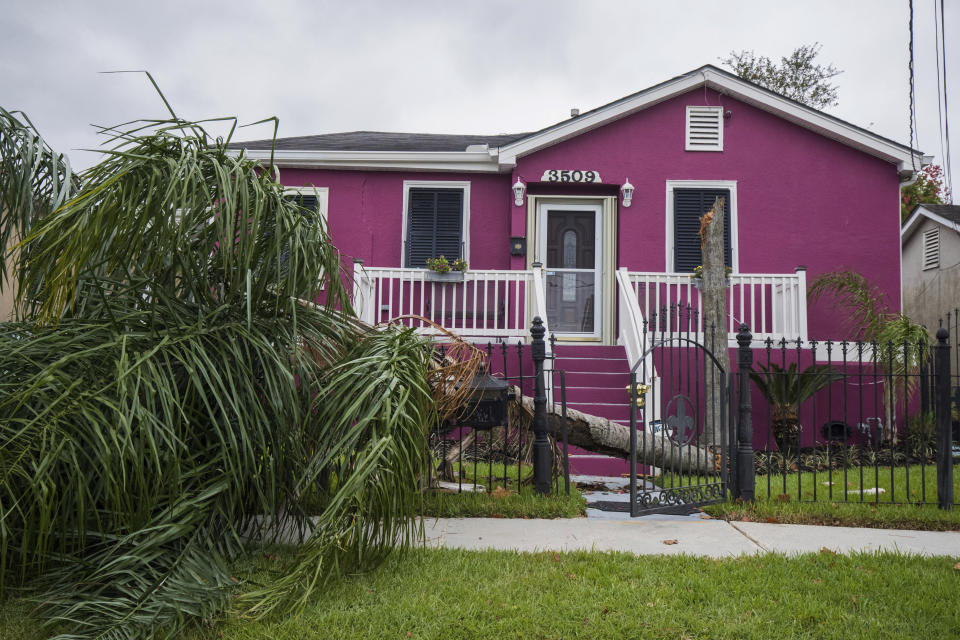 A palm tree takes out a fence of a home in the Leonidas neighborhood in New Orleans on Saturday, Oct. 26, 2019, after a storm system called Tropical Storm Olga went through the area. (Sophia Germer/The Advocate via AP)