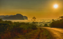 Pictured here is the mist in the Vinales valley, one of Cuba’s greatest natural attractions - it was declared a National Natural Monument for its remarkable landscapes. Deep in the valley you find cultivated lands for tobacco, taro and bananas along with scattered peasant houses.