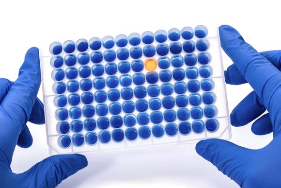 A well plate with samples, held in latex-gloved hands