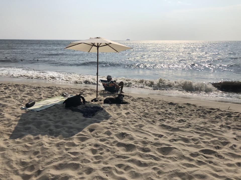 <span class="icon icon--xs icon__camera">  </span> <span class="credit font--s-m upper black"> <b>Amy S. Rosenberg</b> </span> <div class="caption space-half--right font--s-m gray--med db"> Secluded Higbee Beach in West Cape May, at the end of New England Road, still draws the Jersey Shore’s free spirits. Not officially a dog beach, not officially a nude beach, not officially a swimming beach, Higbee Beach thrives on being an unofficially anything goes beach. </div>