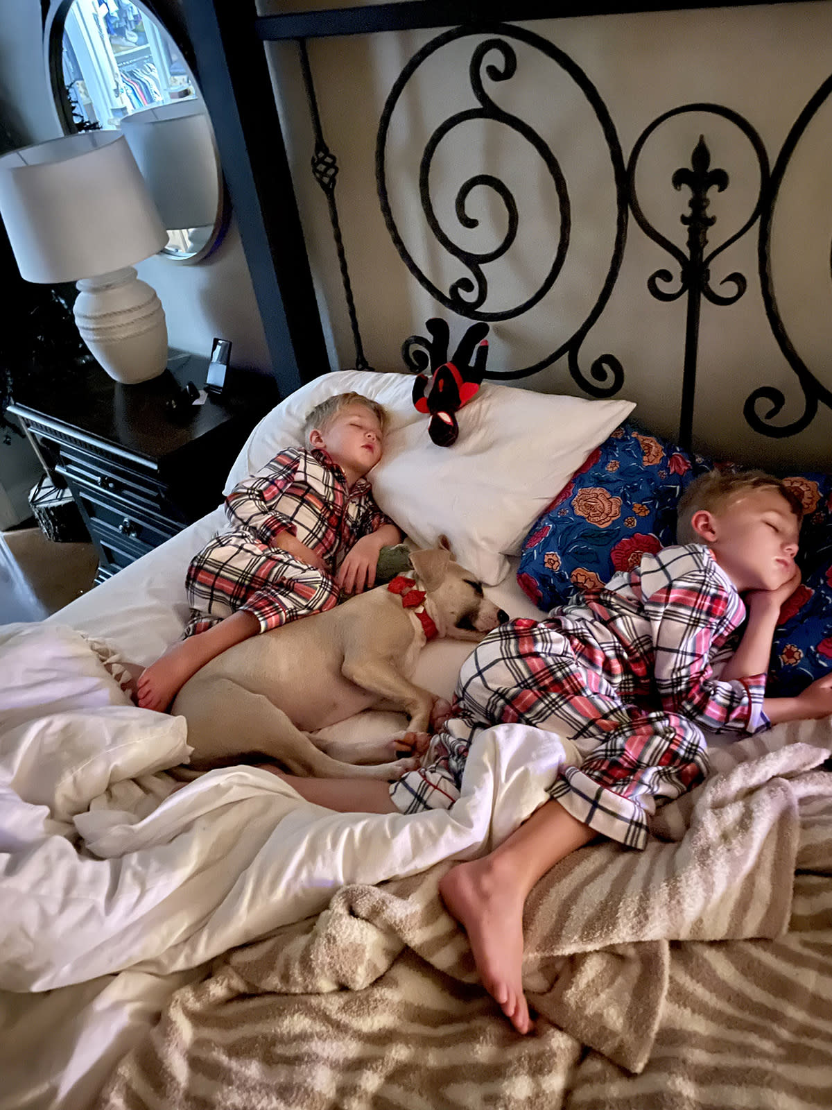 Maggie sleeps alongside Wyatt and Roman Duncan. (Courtesy North Shore Animal League America )