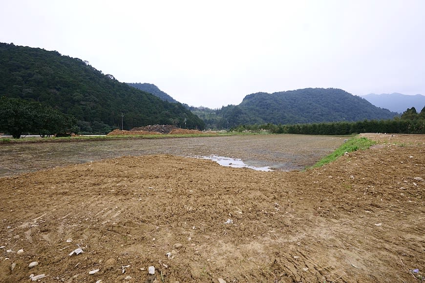 宜蘭雙連埤環湖步道