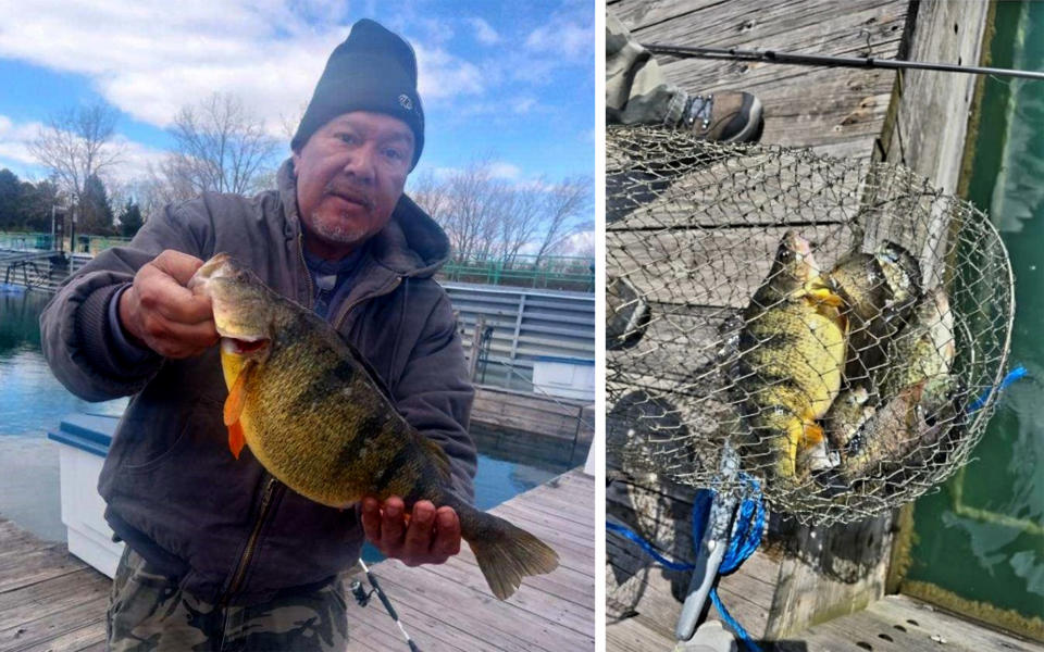 An angler holds up a record-sized yellow perch.
