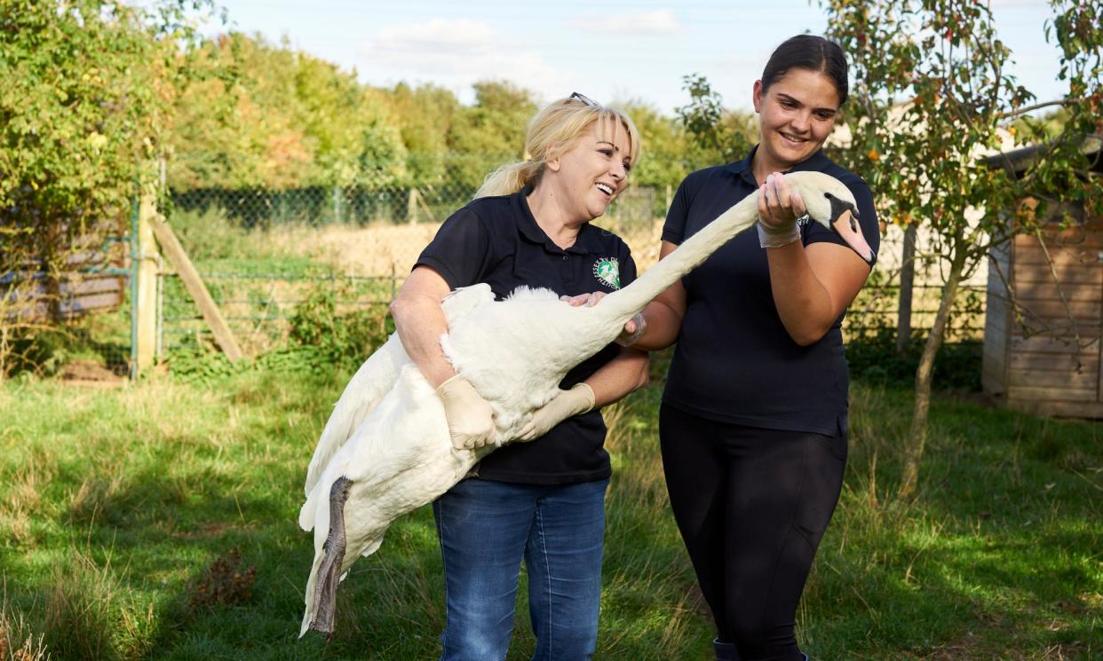 <span>Sue (left) and Charlotte in Wildlife Rescue.</span><span>Photograph: Channel 4</span>