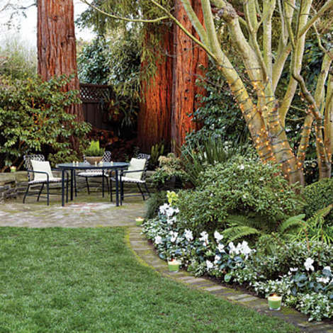 An edging of white cyclamen